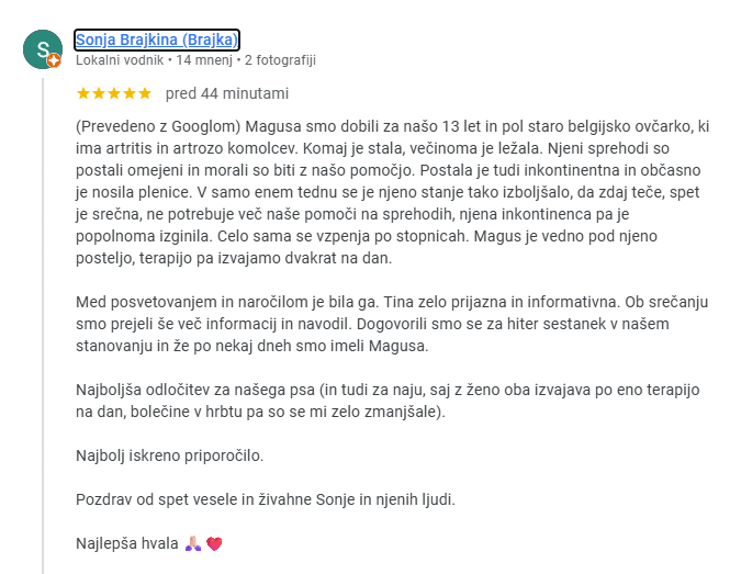 Kaj dati psu proti bolecinam mnenje